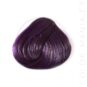 Coloration Cheveux Violet Prune – Directions | Color-Mania