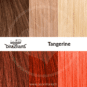 Swatch Tangerine