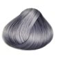 Coloration Cheveux Gris Slate - Directions | Color-Mania