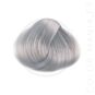 Coloration Cheveux Gris Argent - Directions | Color-Mania