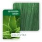 Coloration Cheveux Create Vert Neverseen Green - Wella | color-Mania.fr