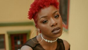 cheveux rouges base foncee sans decoloration