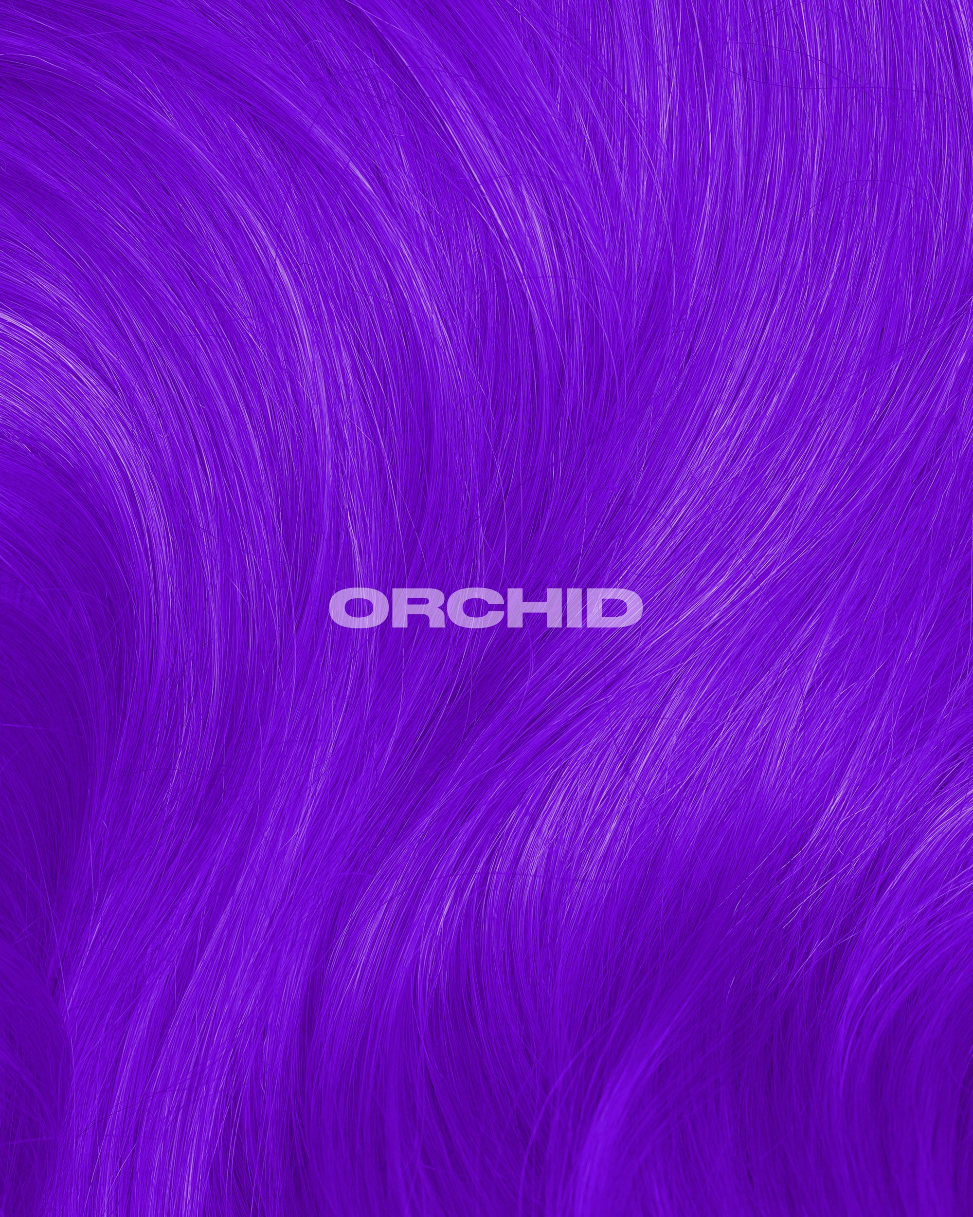 Coloration Cheveux Violet Vif Orchid Purple - Lunar Tides - rendu sur cheveux violet vif | Color-Mania