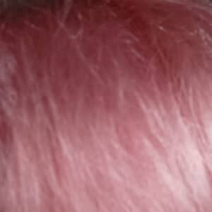 Coloration Cheveux Rose Cleopatra - Pulp Riot photo review